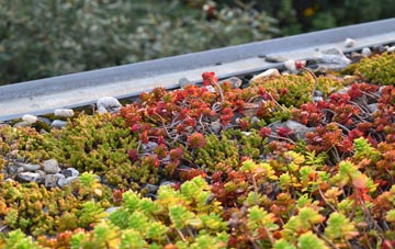 the cost of Norfolk green roof installation
